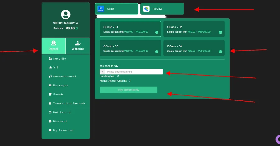 Choose payment and enter amount of money to deposit