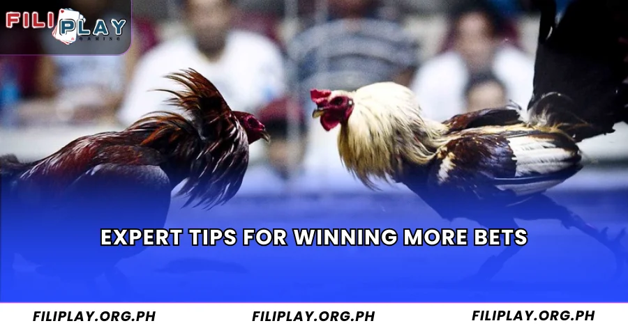 Expert Tips for Winning More Bets